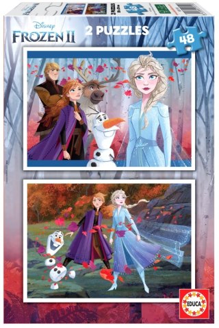 PUZZLE 2X48 KRAINA LODU II