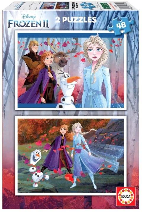 PUZZLE 2X48 KRAINA LODU II