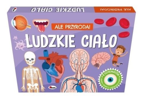 ALE PRZYRODA LUDZKIE CIAŁO AWM WYDAWNICTWO