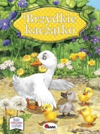 BRZYDKIE KACZĄTKO BAJKI AWM WYDAWNICTWO