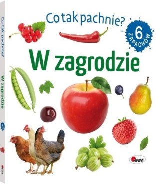 CO TAK PACHNIE W ZAGRODZIE AWM WYDAWNICTWO
