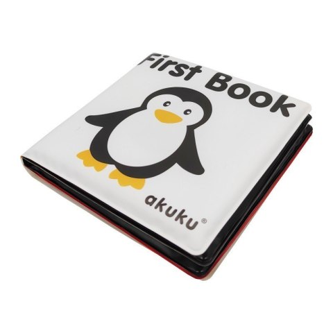 Książeczka edukac.-first book AKUKU ALBIS