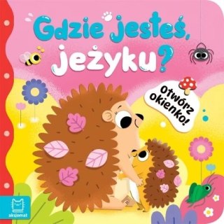 OTWÓRZ OKIENKO JEŻYK AKSJOMAT