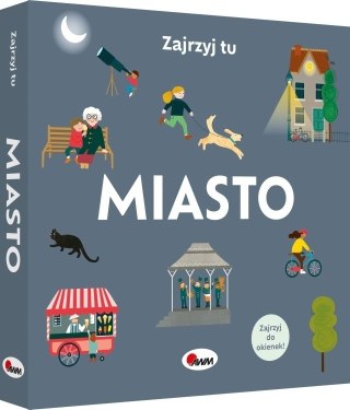 ZAJRZYJ TU MIASTO AWM WYDAWNICTWO