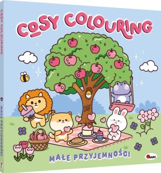 COSY COLOURING MAŁE PRZYJEMNOŚ AWM WYDAWNICTWO