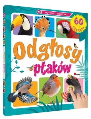 ODGŁOSY PTAKÓW 60 DŹWIĘKÓW AWM WYDAWNICTWO