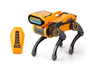 ROBO EXPRESS DOG DUMEL